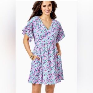 NWT lilly Pulitzer blaire stretch dress size 2